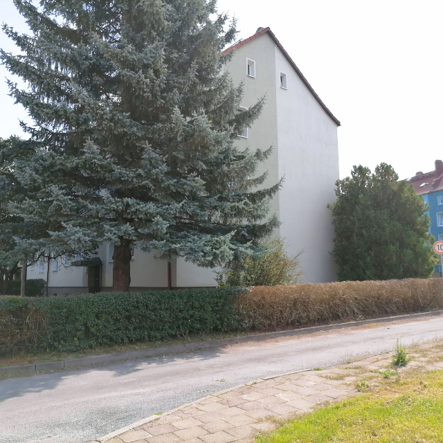 Heckenschnitt Heckenschnitt