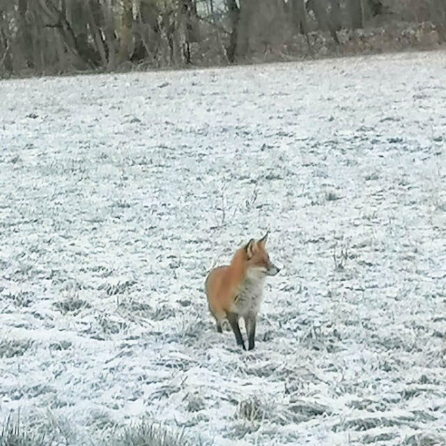 Winterdienst Winterdienst