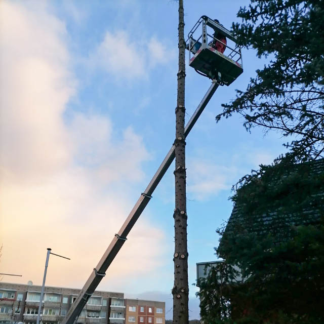 Wohnungsreinigung Sondershausen Wohnungsreinigung Sondershausen