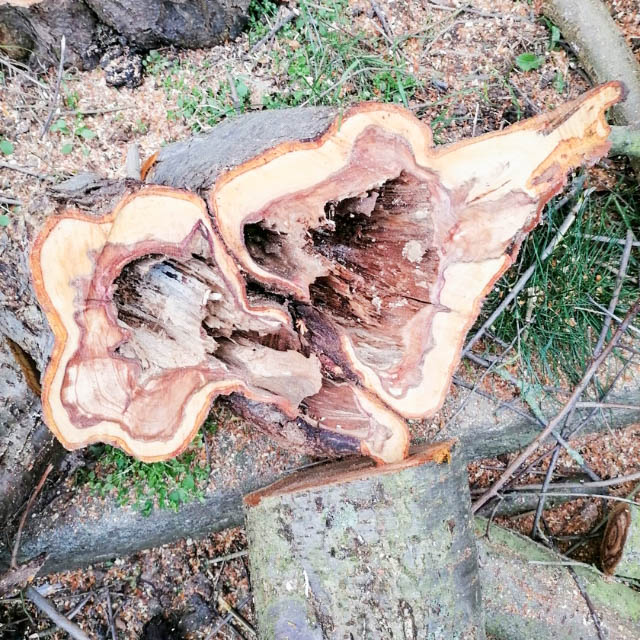 Herbstarbeiten Herbstarbeiten